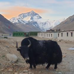 Cycle Tibet Nepal - Lhasa to Kathmandu