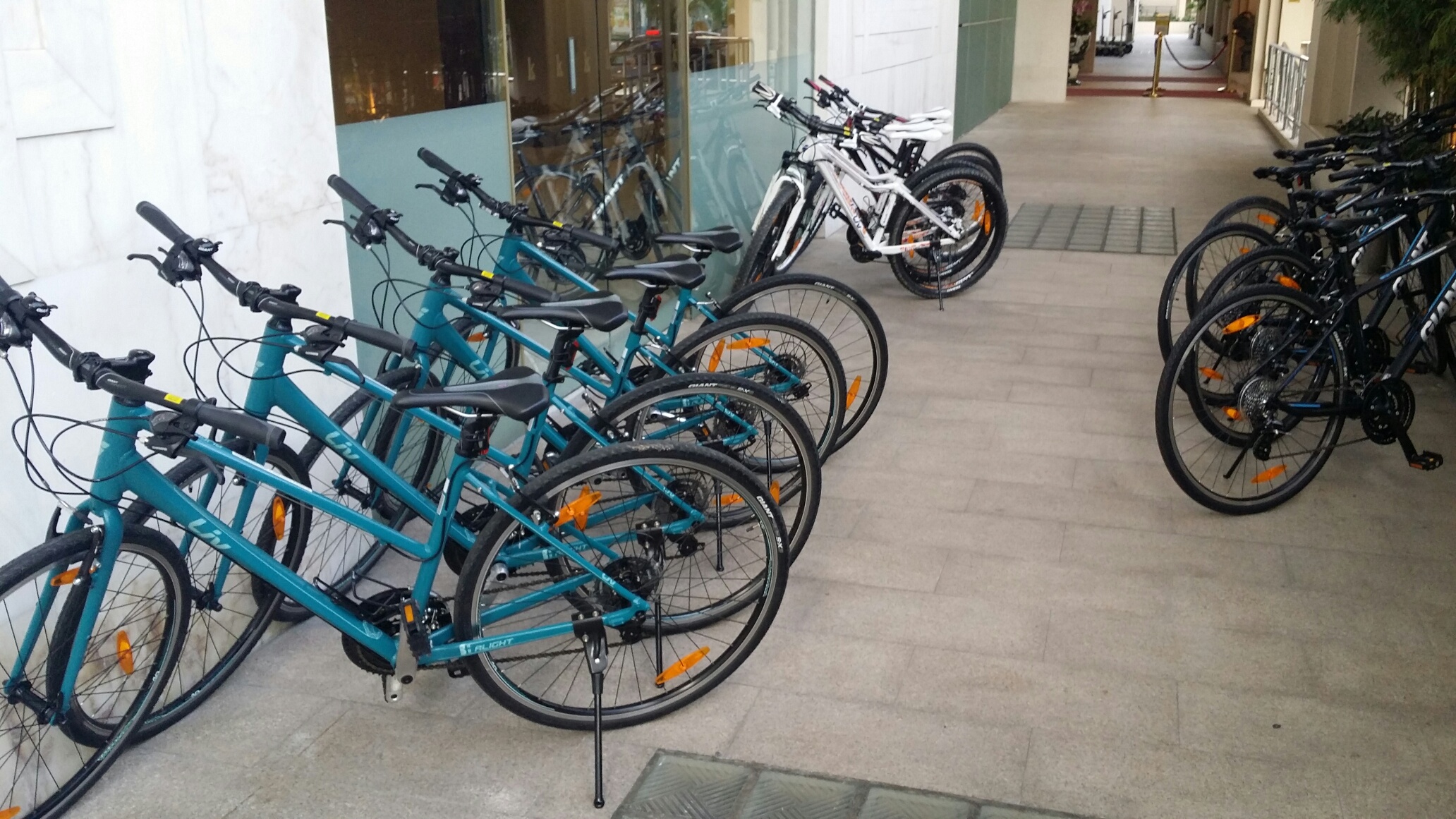 Bike Rental