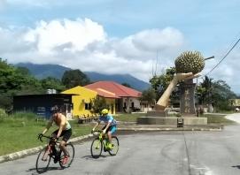 Image: VTL to Penang & KL Malaysia