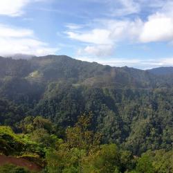 2 Hills Challenge: Frasers' & Cameron Highlands