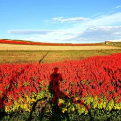 Hokkaido Cycling - Great Nature Ride (GNR)